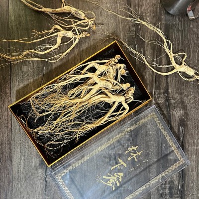 林下参野山参长白山移人叁正宗林下籽人参鲜干货礼盒泡酒专用批发