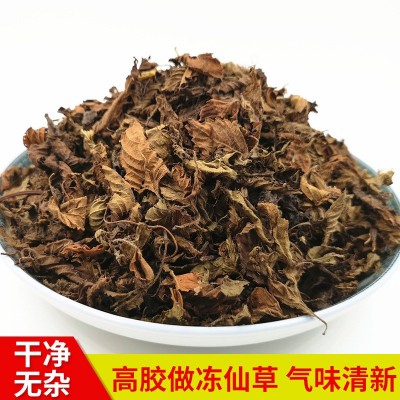 福建仙草凉粉草叶片5kg 高胶无土 做烧仙草冻 龟苓膏 果冻布丁