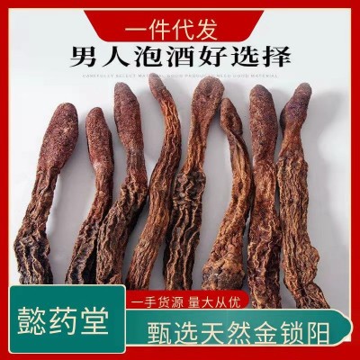 内蒙阿拉善锁阳个 中药材金锁阳切片批发 男士泡茶泡酒料