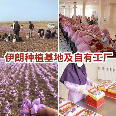 伊朗藏红花批发瓶装西红花礼盒藏红花支持代发多规格红花产 地批发