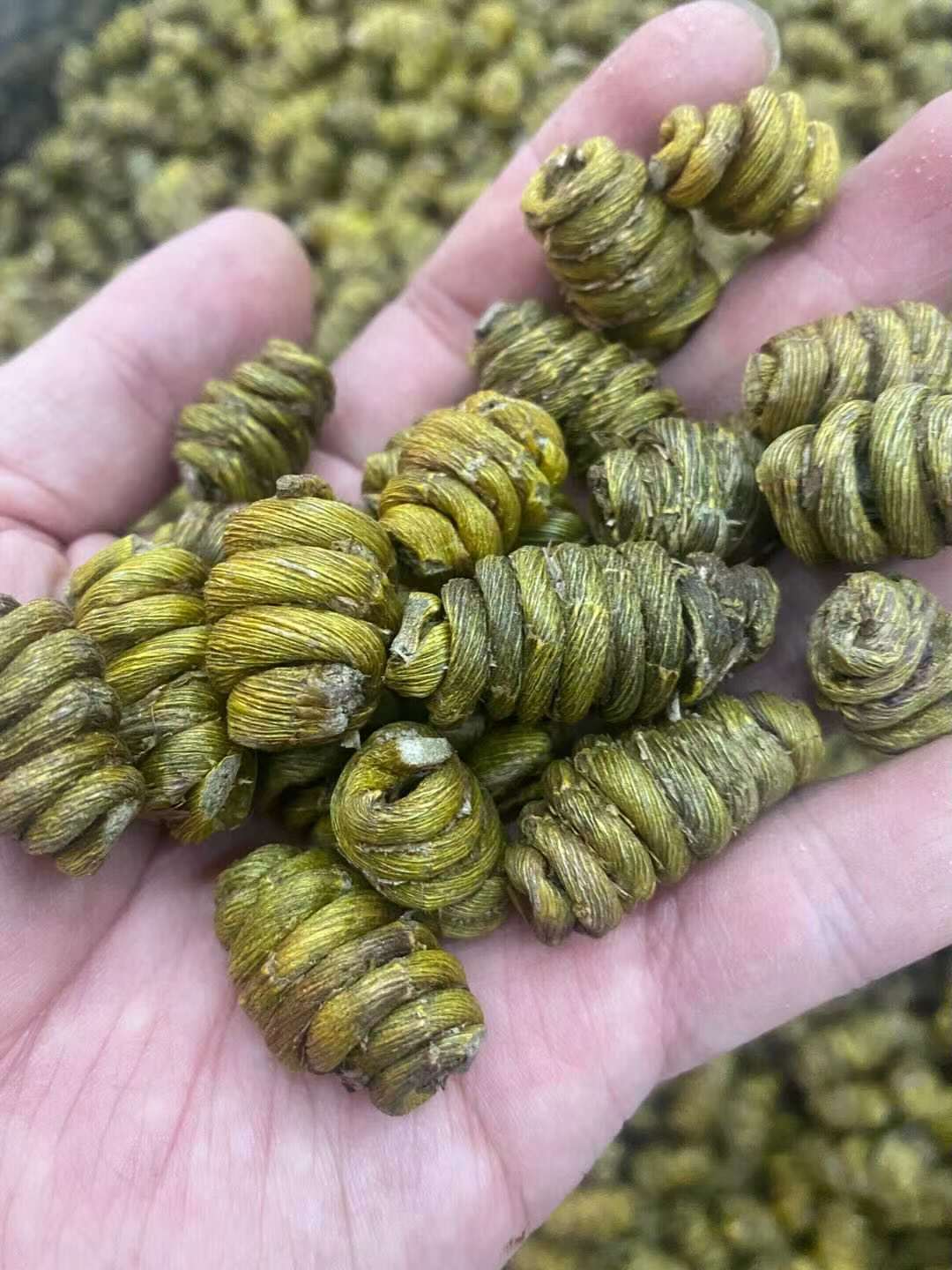 微信图片_20210715101413