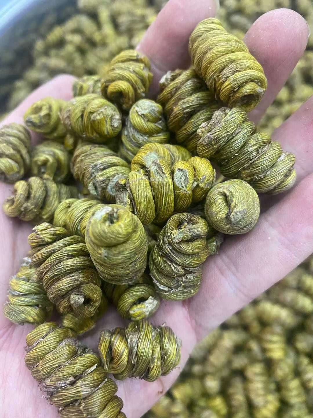 微信图片_20210715101409