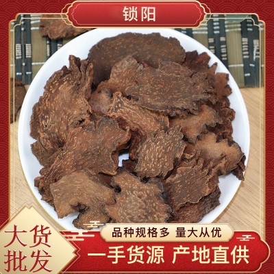 锁阳批发 中药材接大货包邮 新疆金锁阳片搭肉苁蓉泡酒茶代发