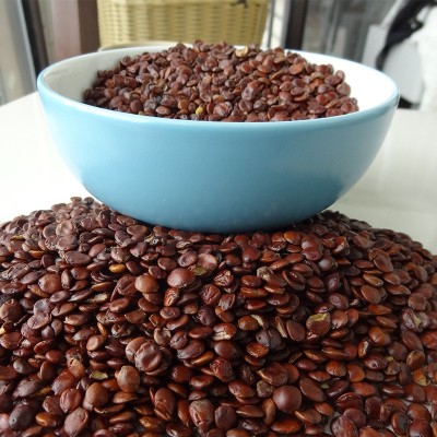 现货供应酸枣仁 产地直营货源中药材酸枣仁 枣仁酸枣仁