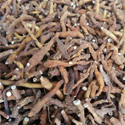 大量批发中药材九节菖蒲节菖蒲小菖蒲九节菖蒲 500g 精选实体店