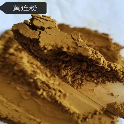 供应黄连粉 低温烘焙 破壁打粉 500克包装 2025年新货