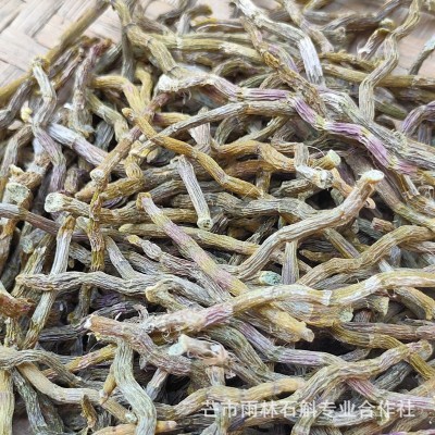 铁皮石斛短芽条云南雨林石斛粗芽条石斛清香胶质浓郁咀嚼无渣