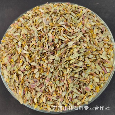 铁皮石斛大切片干货胶质浓郁入口咀嚼无渣选用三年以上生鲜条切片