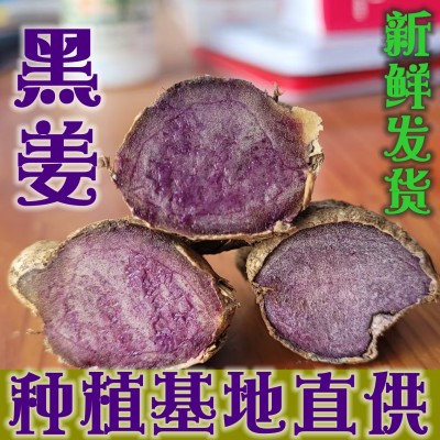 新鲜黑姜小花山奈又名泰国黑姜泰国人参 黑姜粉黑姜干片基地批发