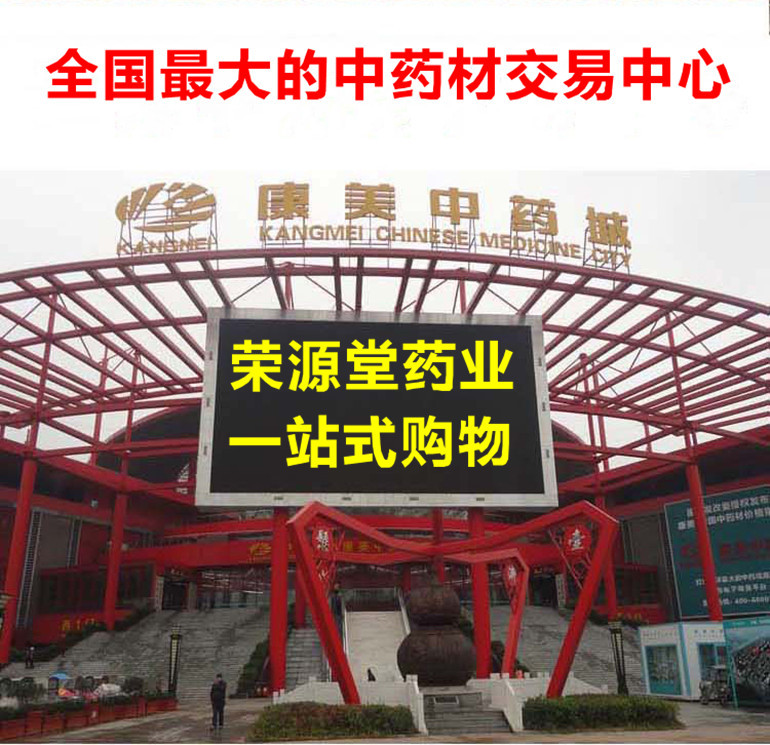 龙牙百合1_副本