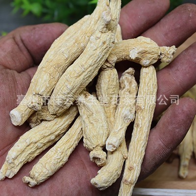 供应批发人参 东北长白山人参干白参散装每支6克左右光生晒参50克