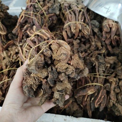 批发草苁蓉 回春草 不老草中药材 产地一手货源供应草苁蓉