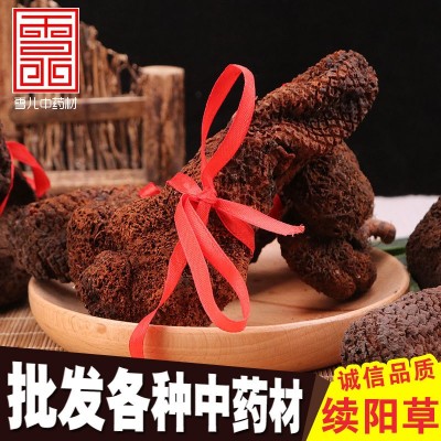 续阳草中药材批发回春草新货顶天柱 产地大货 量大价优续阳草