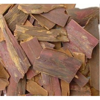 中药材树皮红豆杉皮