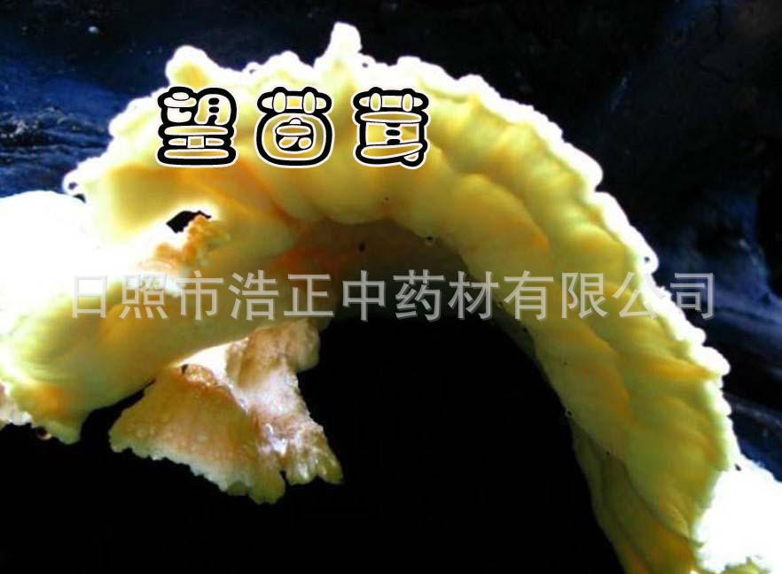 小单独.jpg 拷贝