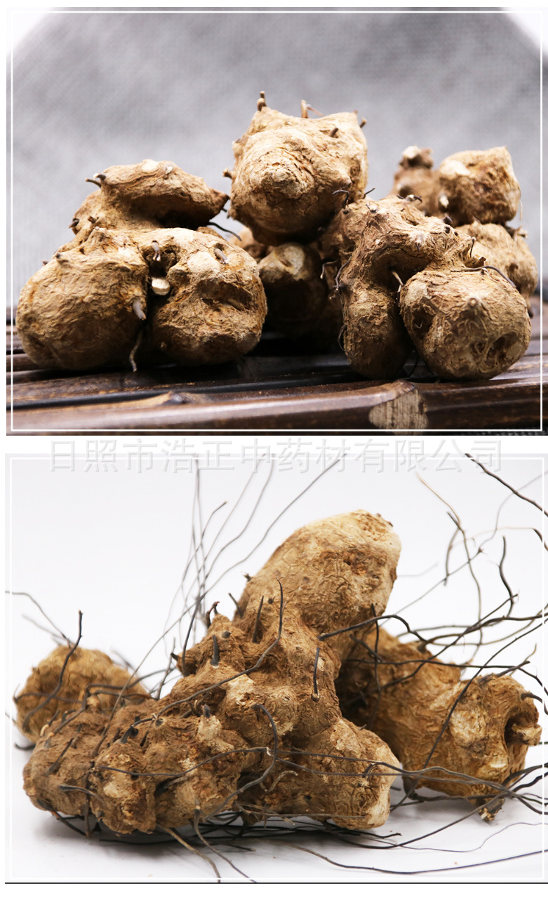 10530048809_571008541