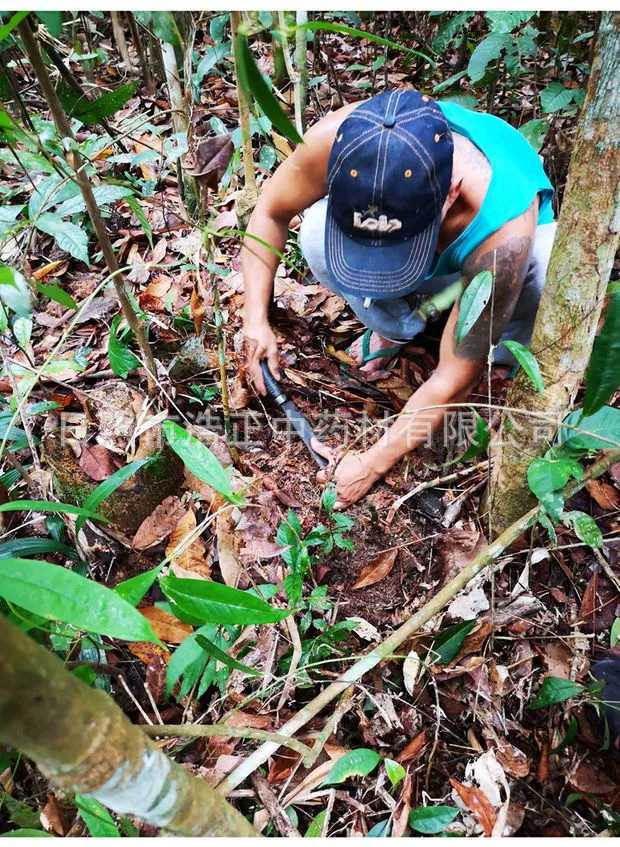 12562093505_595756178