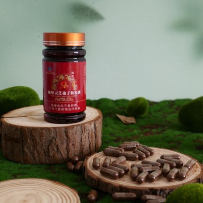 破壁灵芝孢子粉胶囊瑞芝堂牌大量有货源头厂家货大优惠营养
