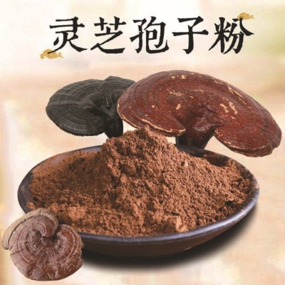 蓝帽破壁灵芝孢子粉现货批发硒酵母破壁灵芝孢子粉胶囊货源工厂