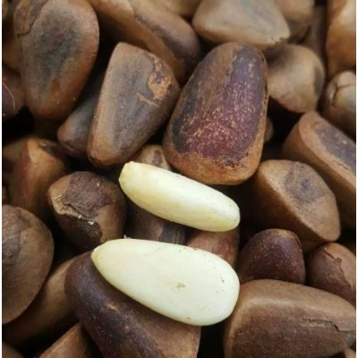 新原味东北伊春野生开口大红松子坚果休闲零食手剥新炒香脆现炒