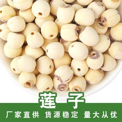 莲子批发厂家直供建宁白莲子手工莲子去芯莲红皮莲子干通芯莲散装