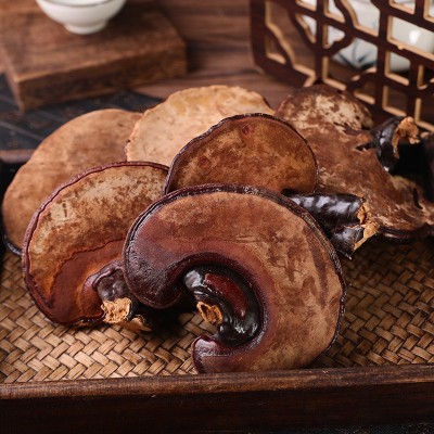 整枝灵芝长白山灵芝足干肉厚滋补礼盒装厂家批发高档养生送礼礼品