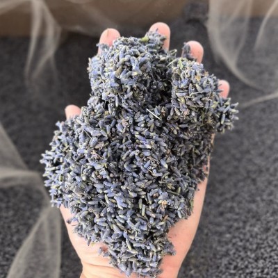 批发薰衣草干花优质各种规格薰衣草