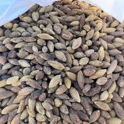 橄榄果 1kg橄榄青果干青果橄榄干