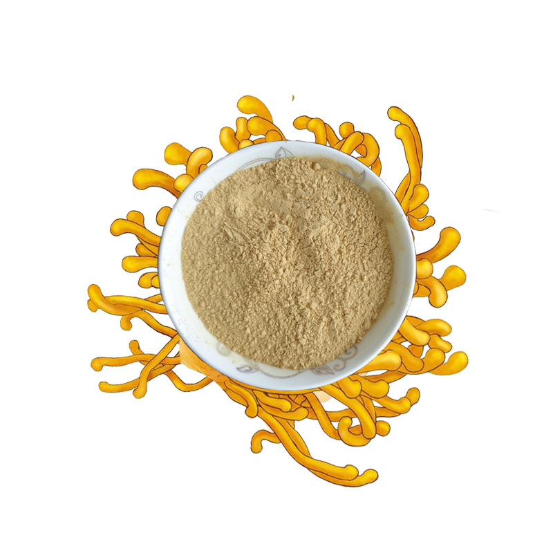 蛹虫草粉