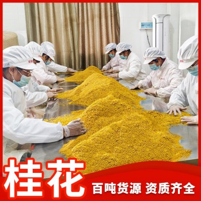 金之粟冻干桂花厂家直供桂林新货金桂花干桂花茶干桂花脱水桂花