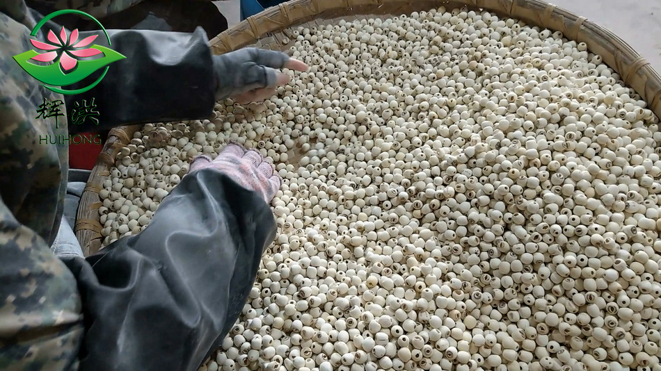 VID_20180202_11[00_00_12][2018