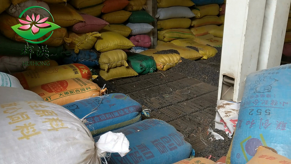 VID_20180202_10[00_00_04][2018