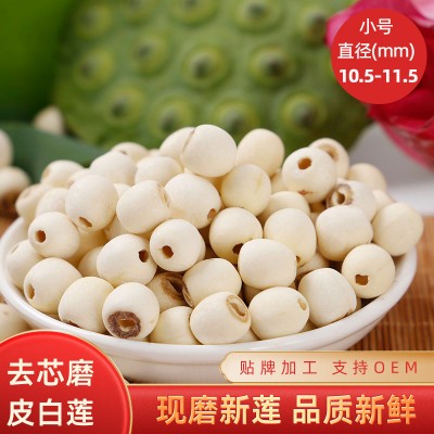 湖南湘潭白莲子去芯磨皮白莲无硫无芯白莲子干货批发