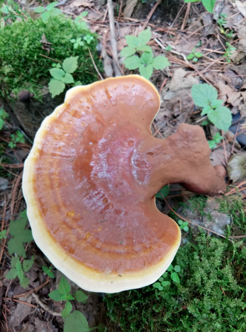 P70630-125437_看图王_1