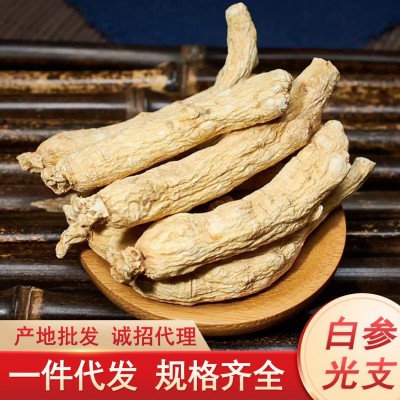 白参枝头长白山白参段吉林原皮生晒参条切片东北人参棒无须参长支