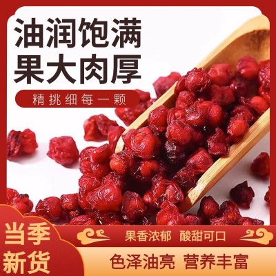 当季五味子 东北吉林长白山特产瓶装500g饱满大颗粒 可批发代发