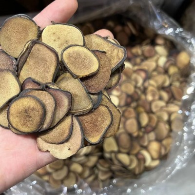 鹿茸片 红粉区 白粉区 之间 黄粉片 梅花鹿茸 长白山鹿茸