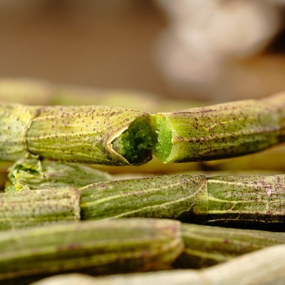 新鲜铁皮石斛鲜条 优选铁皮石斛500g 四年石斛枫斗产地霍山