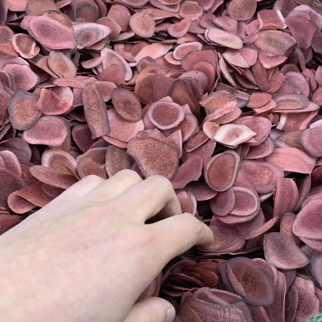 微信图片_20201128153653