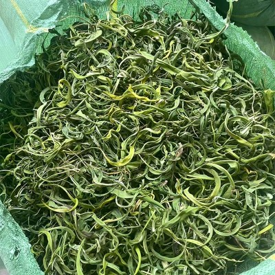 长白山黄金草选货肾精茶泡水喝化石草中药材养生茶今年新货足干货