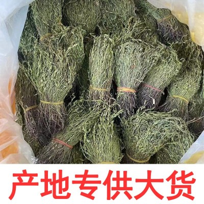 独角金产地批发疳积草滋补品黄花独角金5克新货干货独脚柑 消米虫