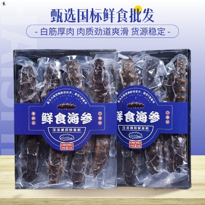 鲜食海参工厂批发一斤装国标即食大连海参刺参多规格厚肉新鲜辽参