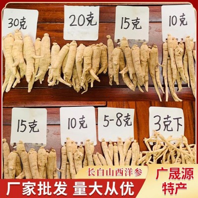 东北特产 长白山西洋参条药材西洋参段人参产地批发西洋参段