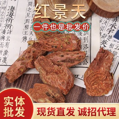 批发红景天 红景天 大花红景天