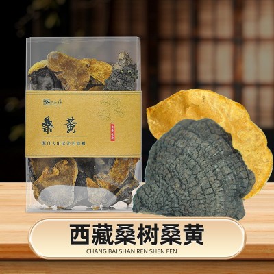 桑黄中药材250g藏黄西藏野生桑黄高龄桑树桑黄粉天然金边灵芝桑黄