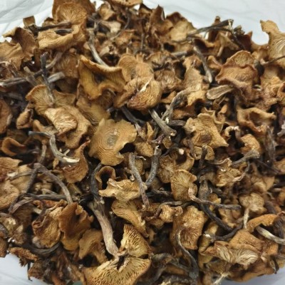 正宗东北野生榛蘑特级自己晒榛蘑菇小鸡炖蘑菇纯天然蘑菇吉林特产