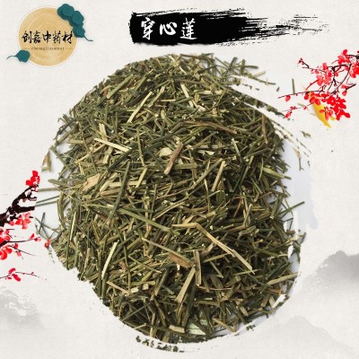 创嘉水产兽药穿心莲 微粉穿心莲又名春莲秋柳 中药材批发供应