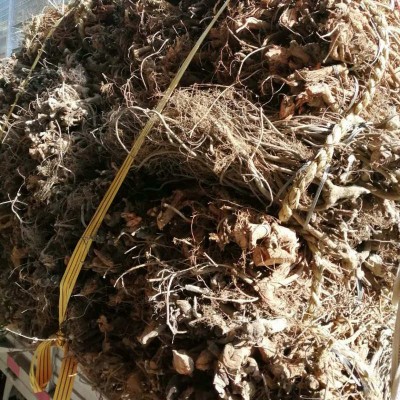 鱼藤根富含鱼藤酮精细粉末 水溶粉现货清塘鱼藤根浓缩粉