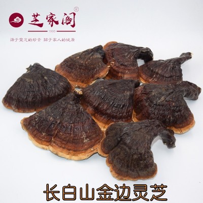东北吉林金边灵芝长白山林下灵芝松杉白肉灵芝不苦产地量大从优