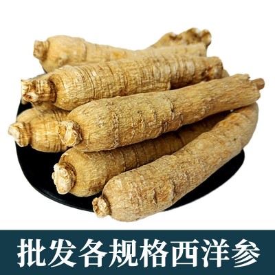 长白山西洋参条西洋参枝条整根西洋参段花旗参段西洋参整支原枝